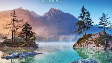Mindful Life Calendar 2027