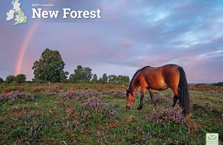 New Forest A4 Calendar 2027