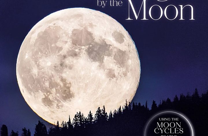 Living by the Moon Calendar 2027
