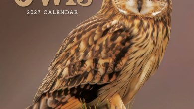 Owls Mini Calendar 2027