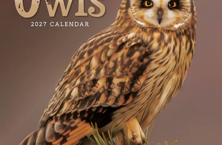 Owls Mini Calendar 2027