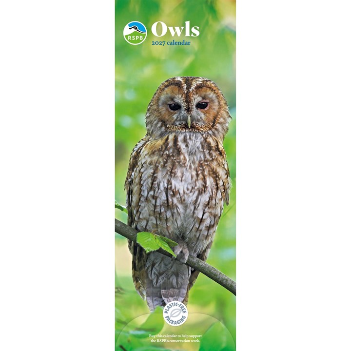 RSPB, Owls Slim Calendar 2027