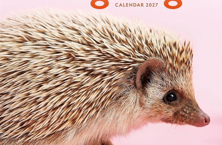 Hedgehogs Calendar 2027