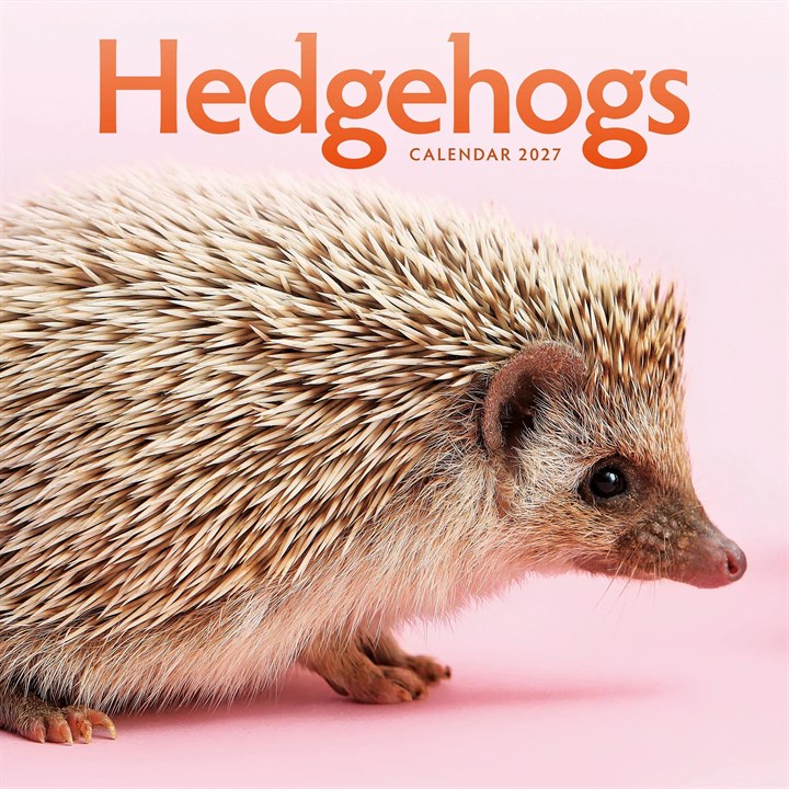 Hedgehogs Calendar 2027