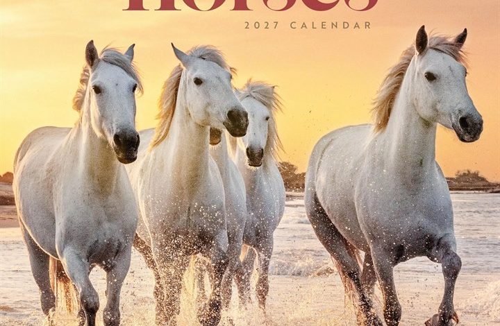 Horses Calendar 2027