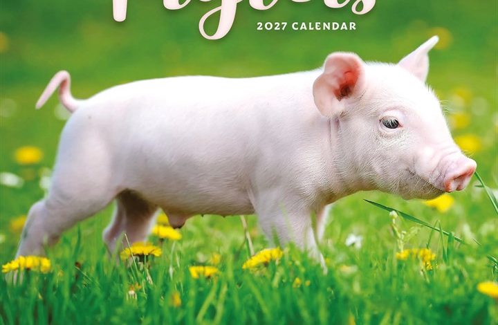 Piglets Mini Calendar 2027