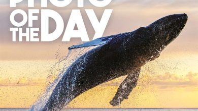 Photo Of The Day Desk Calendar 2027