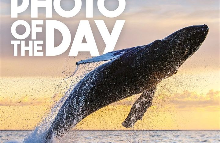 Photo Of The Day Desk Calendar 2027