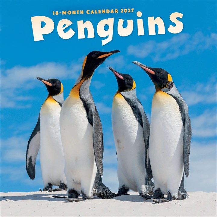 Penguins Calendar 2027