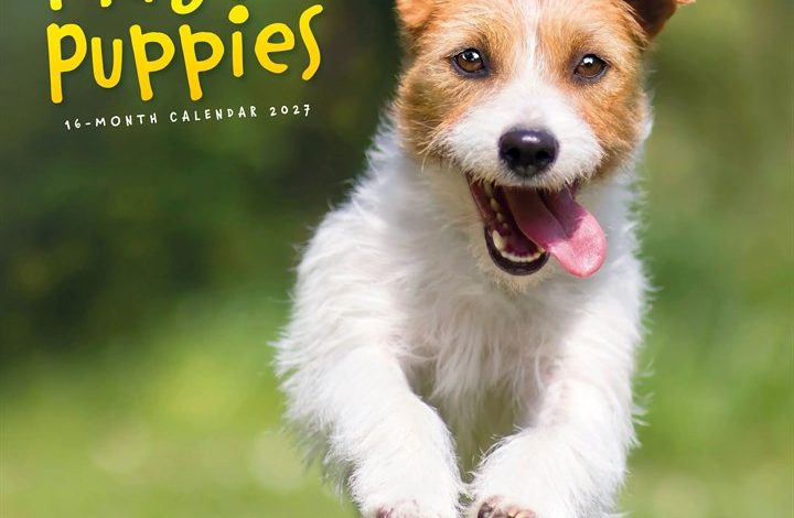 Playful Puppies Calendar 2027