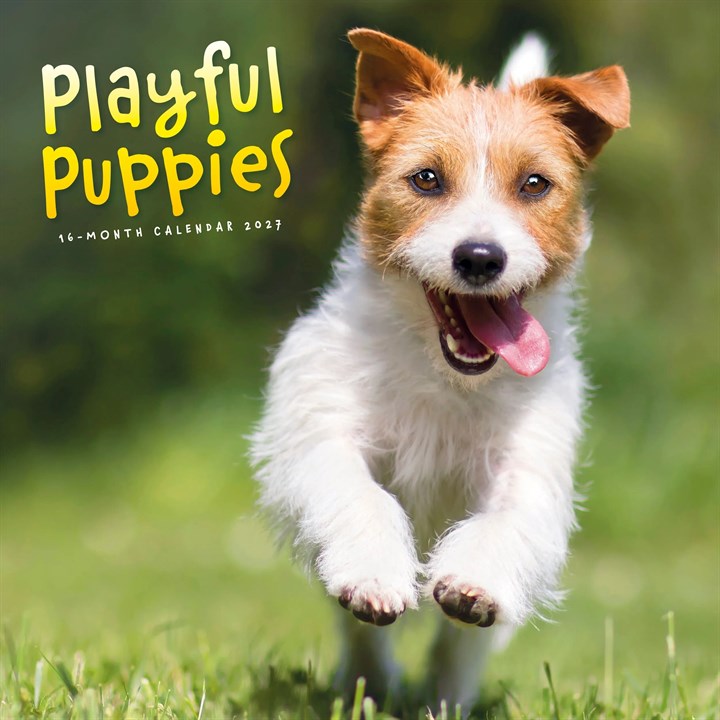 Playful Puppies Calendar 2027