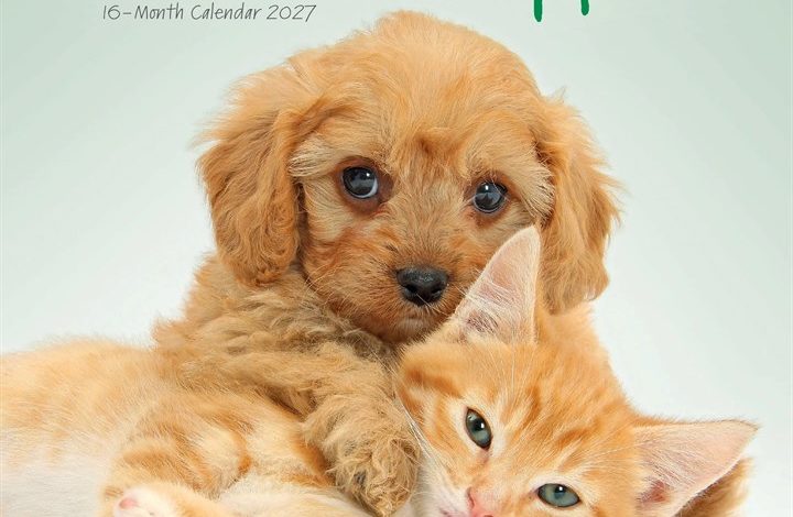 Kittens & Puppies Mini Calendar 2027