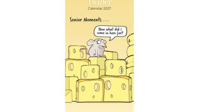Twizler Funny Moments Slim Calendar 2027
