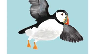 Puffin Square Pocket Diary 2027