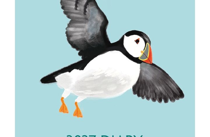 Puffin Square Pocket Diary 2027