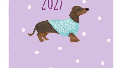 Dachshund Square Pocket Diary 2027