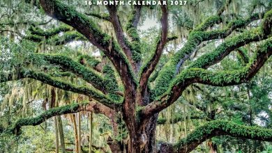 Trees Calendar 2027