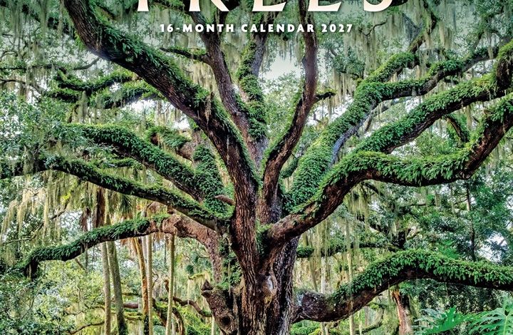 Trees Calendar 2027