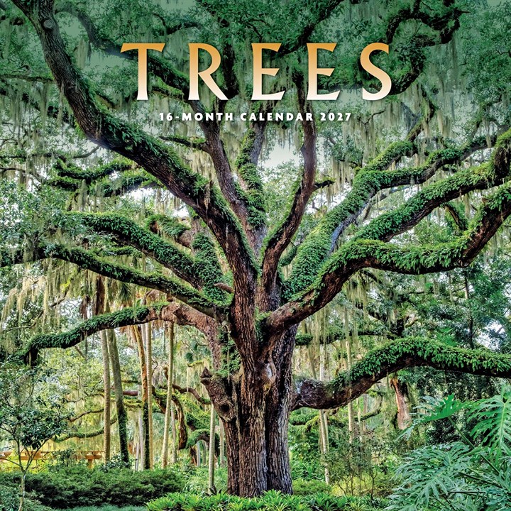 Trees Calendar 2027