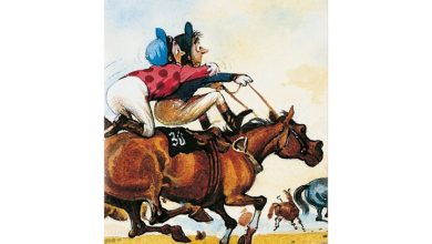 Thelwell Slim Diary 2027