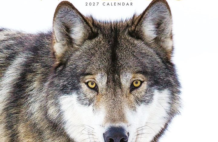 Wolves Mini Calendar 2027