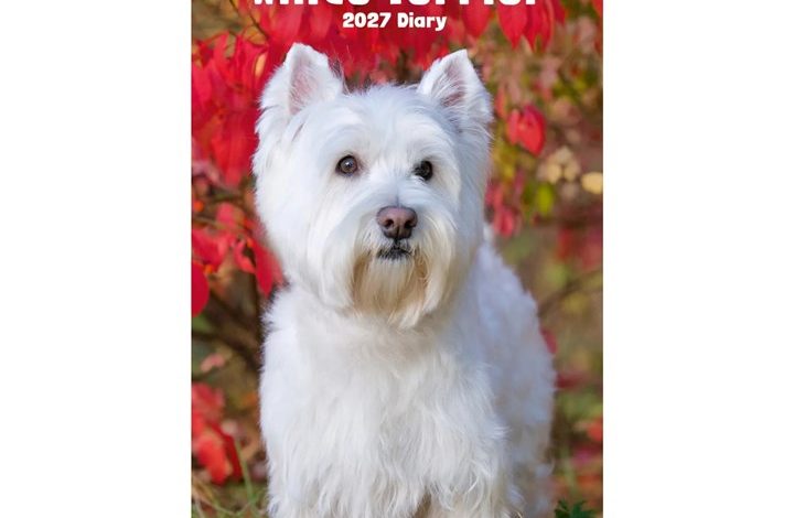West Highland White Terrier Slim Diary 2027