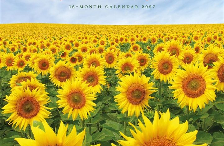 Sunflowers Calendar 2027