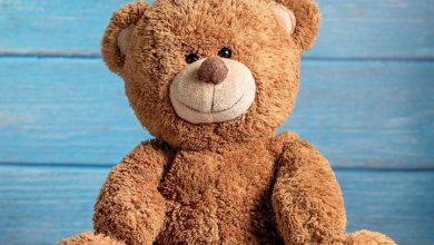 Teddy Bears Calendar 2027