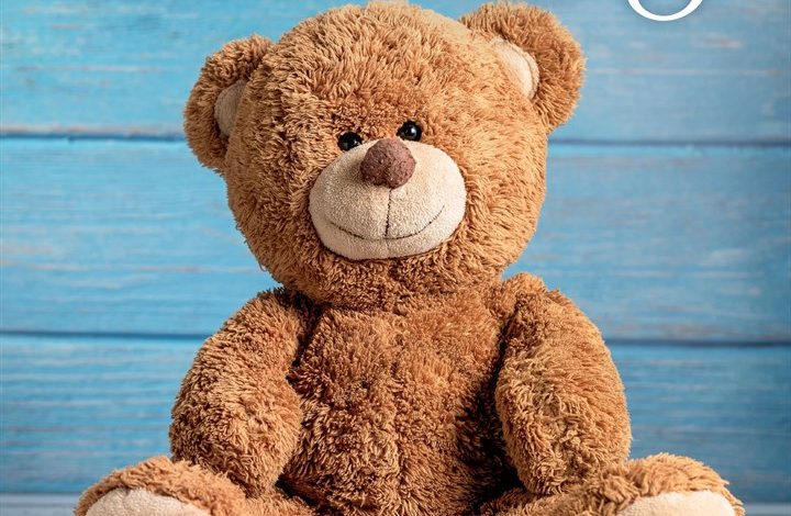 Teddy Bears Calendar 2027
