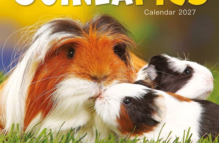Guinea Pigs Mini Calendar 2027