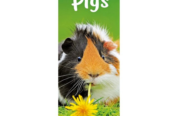 Guinea Pigs Slim Calendar 2027
