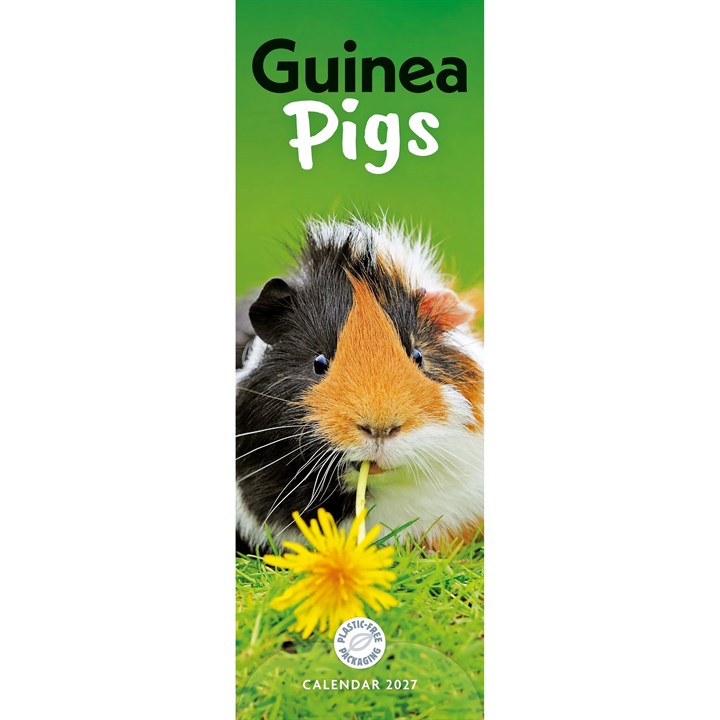 Guinea Pigs Slim Calendar 2027