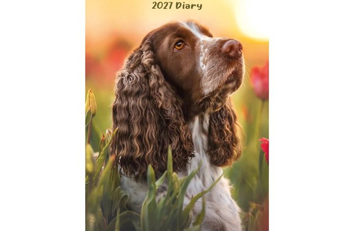English Springer Spaniel Slim Diary 2027