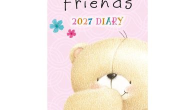 Forever Friends Slim Diary 2027
