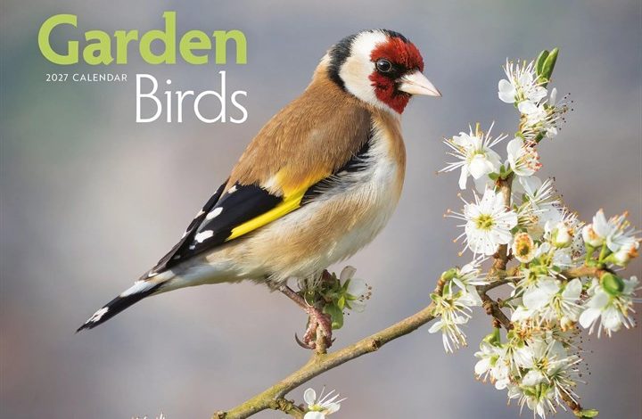 Garden Birds A4 Calendar 2027