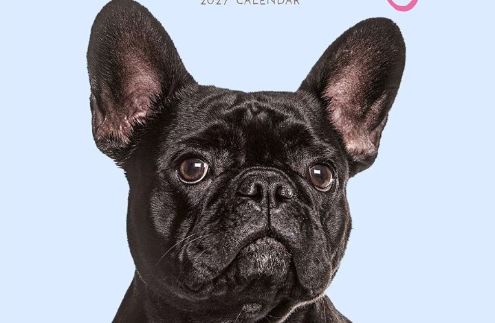 French Bulldogs Mini Calendar 2027