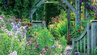 Gardens Mini Calendar 2027