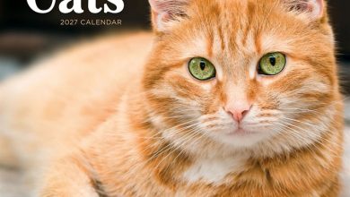 Ginger Cats Calendar 2027