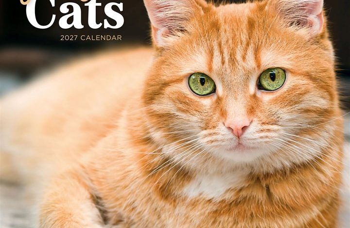 Ginger Cats Calendar 2027