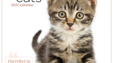 Cute Cats Calendar 2027
