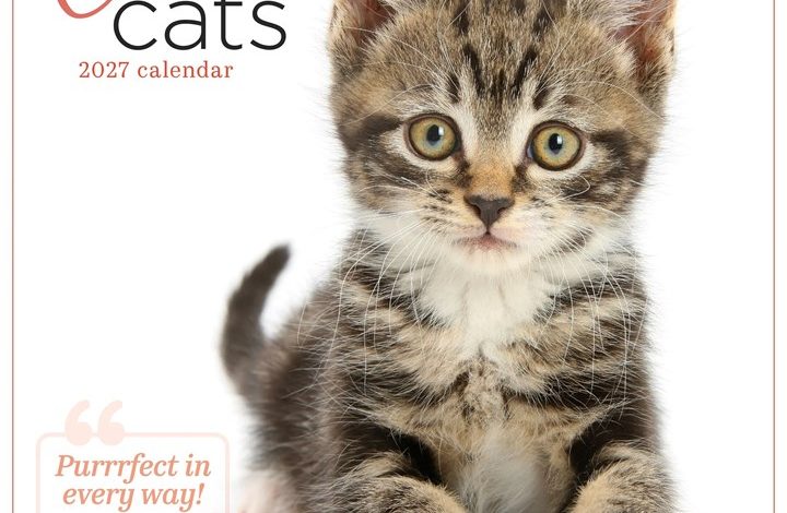 Cute Cats Calendar 2027