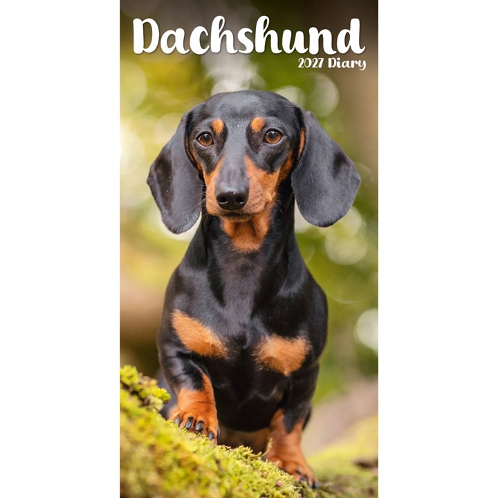 Dachshund Slim Diary 2027