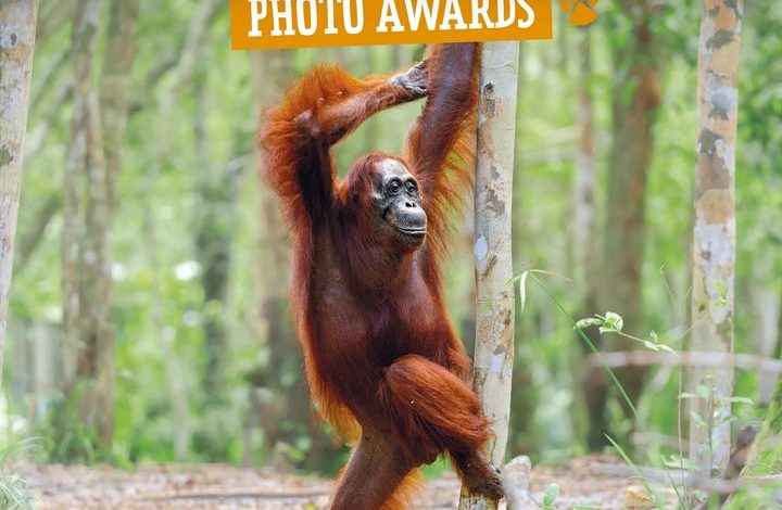 Comedy Wildlife Photography Awards Calendar 2027