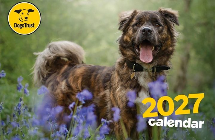 Dogs Trust A4 Calendar 2027