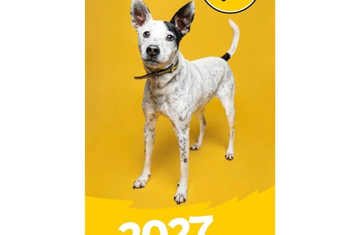 Dogs Trust Slim Diary 2027