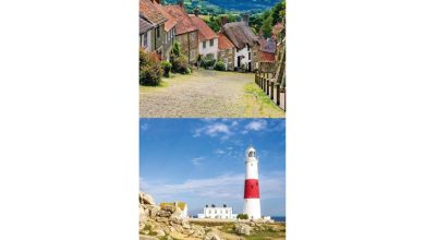 Dorset Slim Calendar 2027