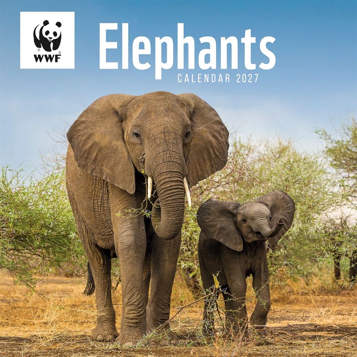 WWF, Elephants Calendar 2027