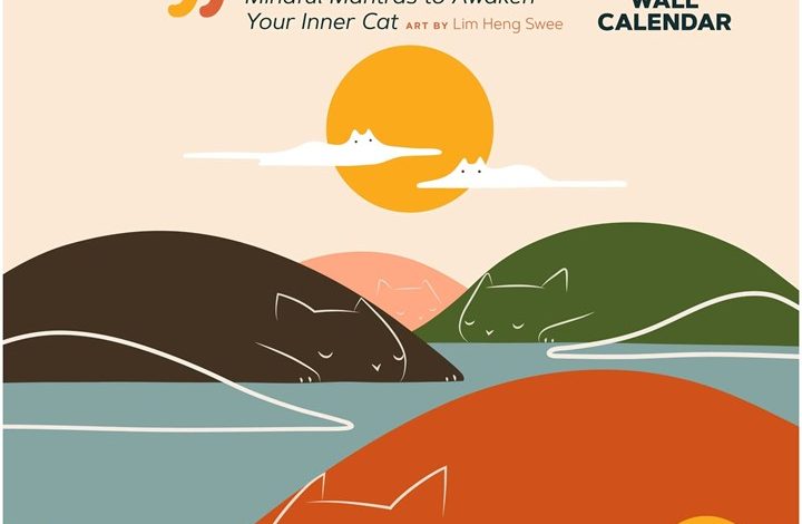 Catffirmations Calendar 2027
