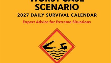 Worst Case Scenario Desk Calendar 2027
