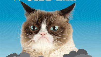 Grumpy Cat Calendar 2027
